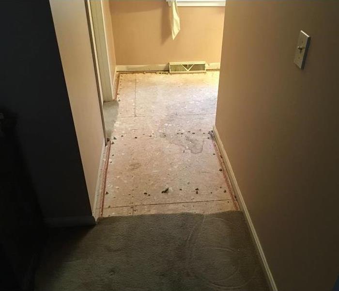 Hallway of a home with carpeting and baseboards removed.