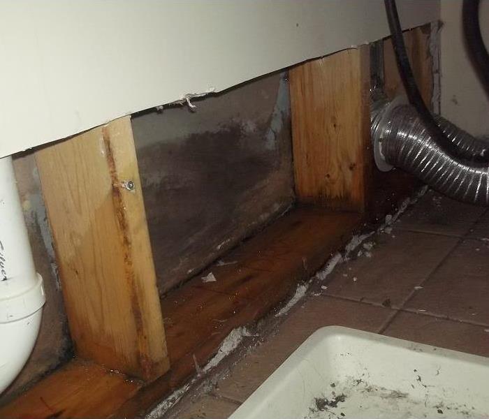 Exposed wall cavity in the basement of a home showing mold growth.