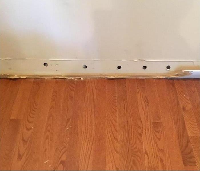 Wall of a home showing circular holes at the bottom and hardwood flooring.